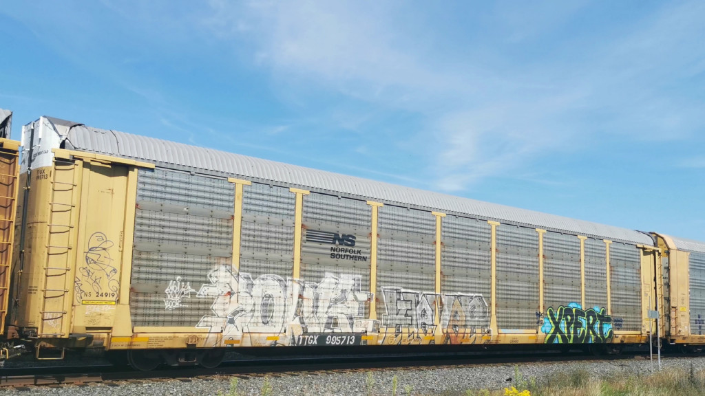 NS 24919 (Body) TTGX 995713 (Flat)